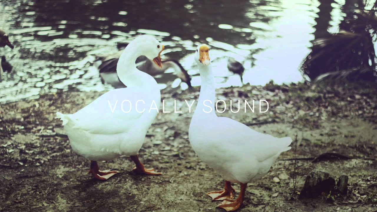 Brijs - Friends ft. Dandelion