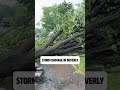 Severe storm damages homes in Beverly, Chicago - Thursday, June 26