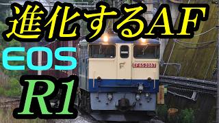 進化するＡＦ、キヤノンＲ１