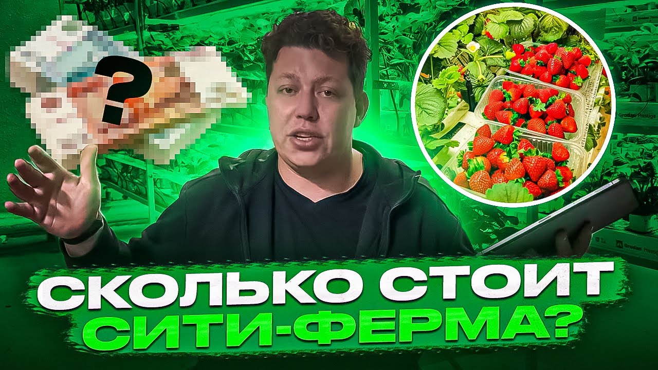 СКОЛЬКО СТОИТ ПОСТРОИТЬ СИТИ-ФЕРМУ? - YouTube
