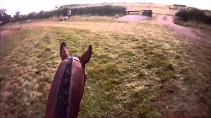 Katie Kunz and Thomas BE100 Breckenborough Horse T...