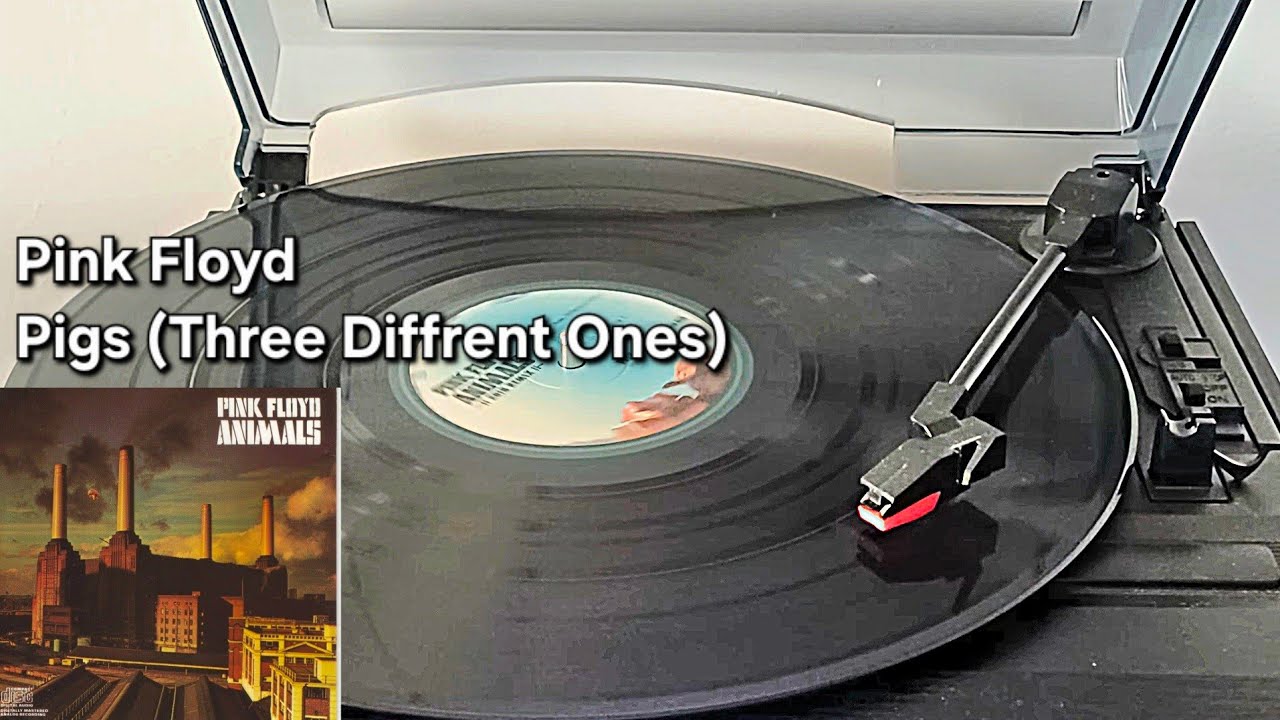 Pink Floyd - Pigs (Three Diffrent Ones) [vinyl rip]
