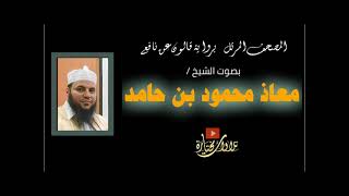 043 سورة الزخرف | الشيخ معاذ بن حامد | المصحف المرتل كامل | رواية قالون عن نافع