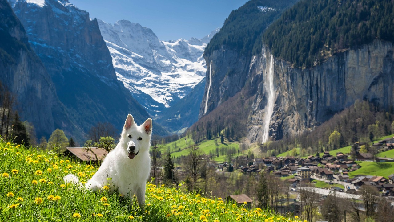 Which places in Switzerland are worth visiting in spring?