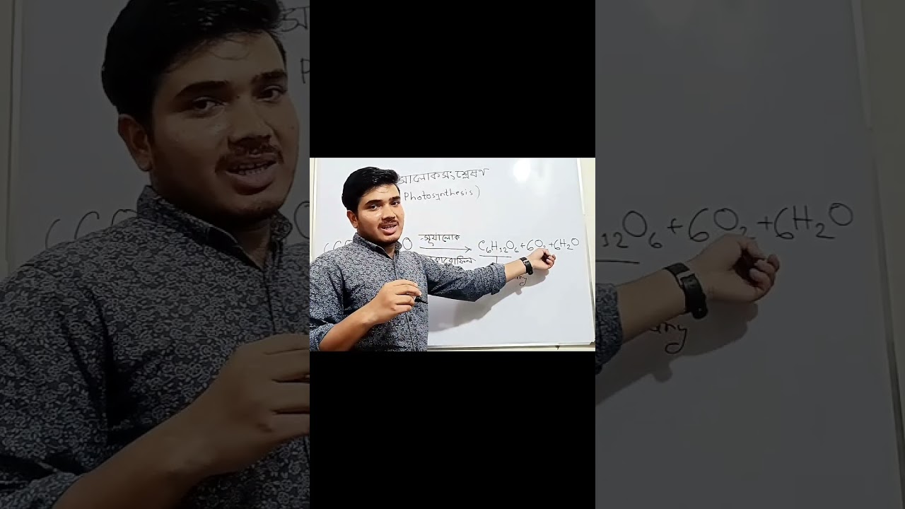 সালোকসংশ্লেষণ SSC Biology Chapter 4 Photosynthesis 