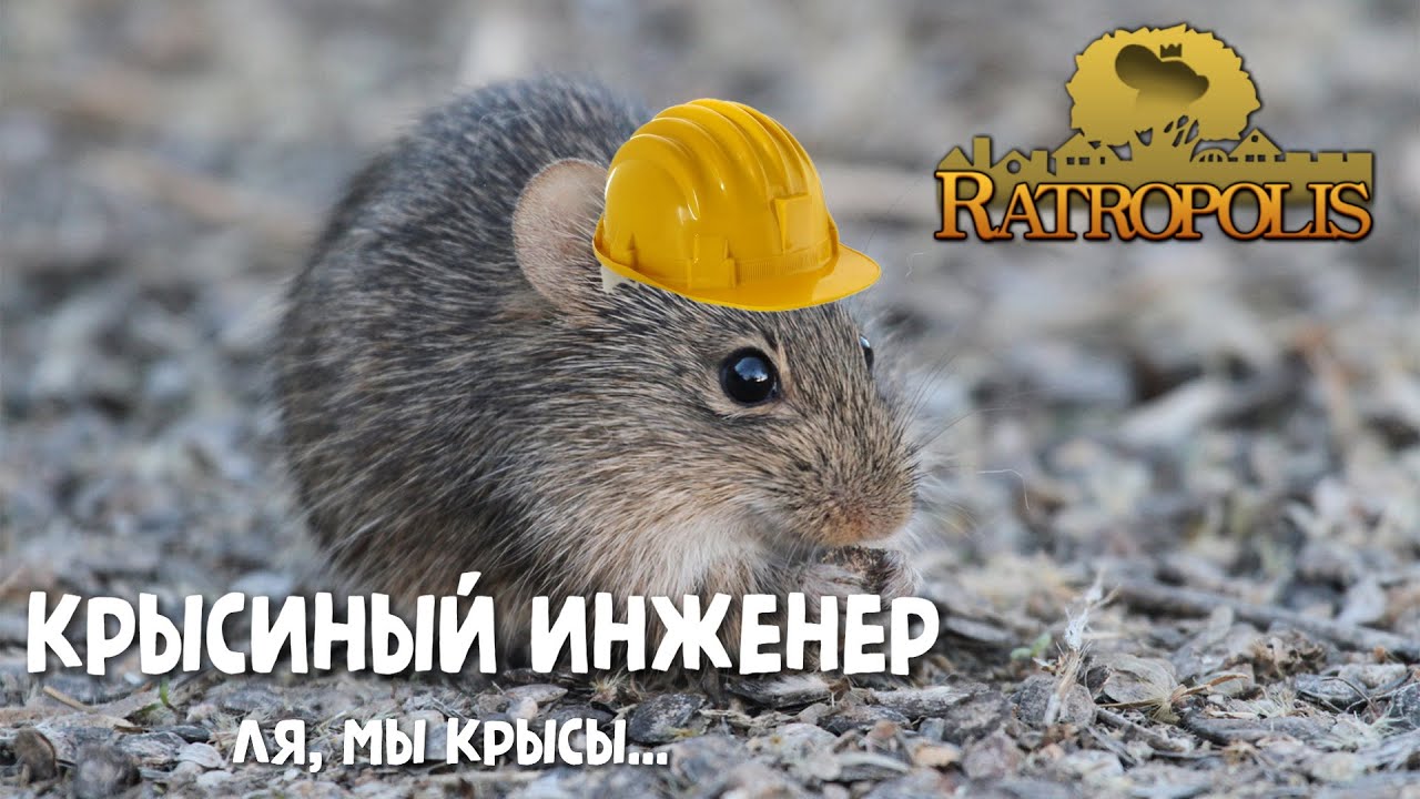 Ratropolis. Крысиный инженер. Третий взгляд.