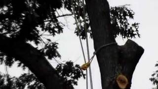 ARBOR-X Rope Rigging Part I