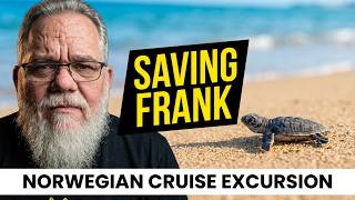 We helped save baby sea turtles in Cozumel, Mexico