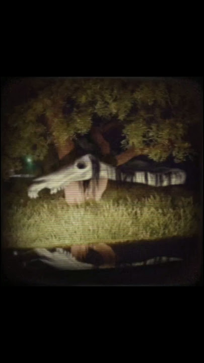 Long Horse 🐴💀 ┆#treverhenderson #scary #capcut #sega ☻☺︎┆Dont forget to subscribe! :D