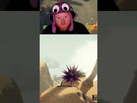 What Was That Daware Peak Funnymoments