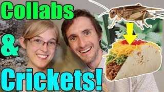 COLLAB With Clint's Reptiles- We Eat Cricket Tacos!