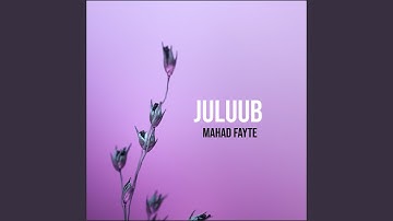 Juluub (Radio Edit)