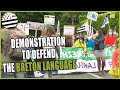 10000 bretons demonstrate to defend the breton language brittany  brezhoweb