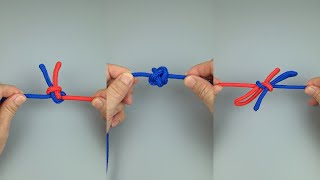 Famous Episode 146 Mastering Knots From Beginner to Expert Wealth