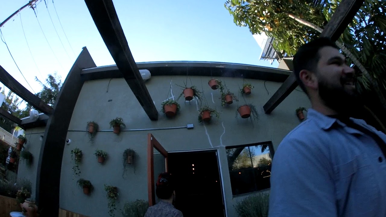 Food & weed love magic water