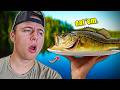 The Truth About EATING BASS! (Should You?)