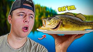 The Truth About EATING BASS! (Should You?)