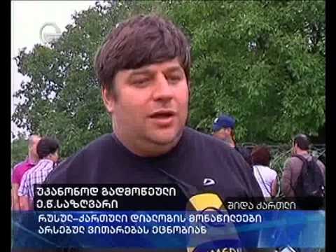 რუსულ-ქართული დიალოგის მონაწილეები საზღვრისპირა სოფელებში არსებულ ვითარებას ეცნობიან