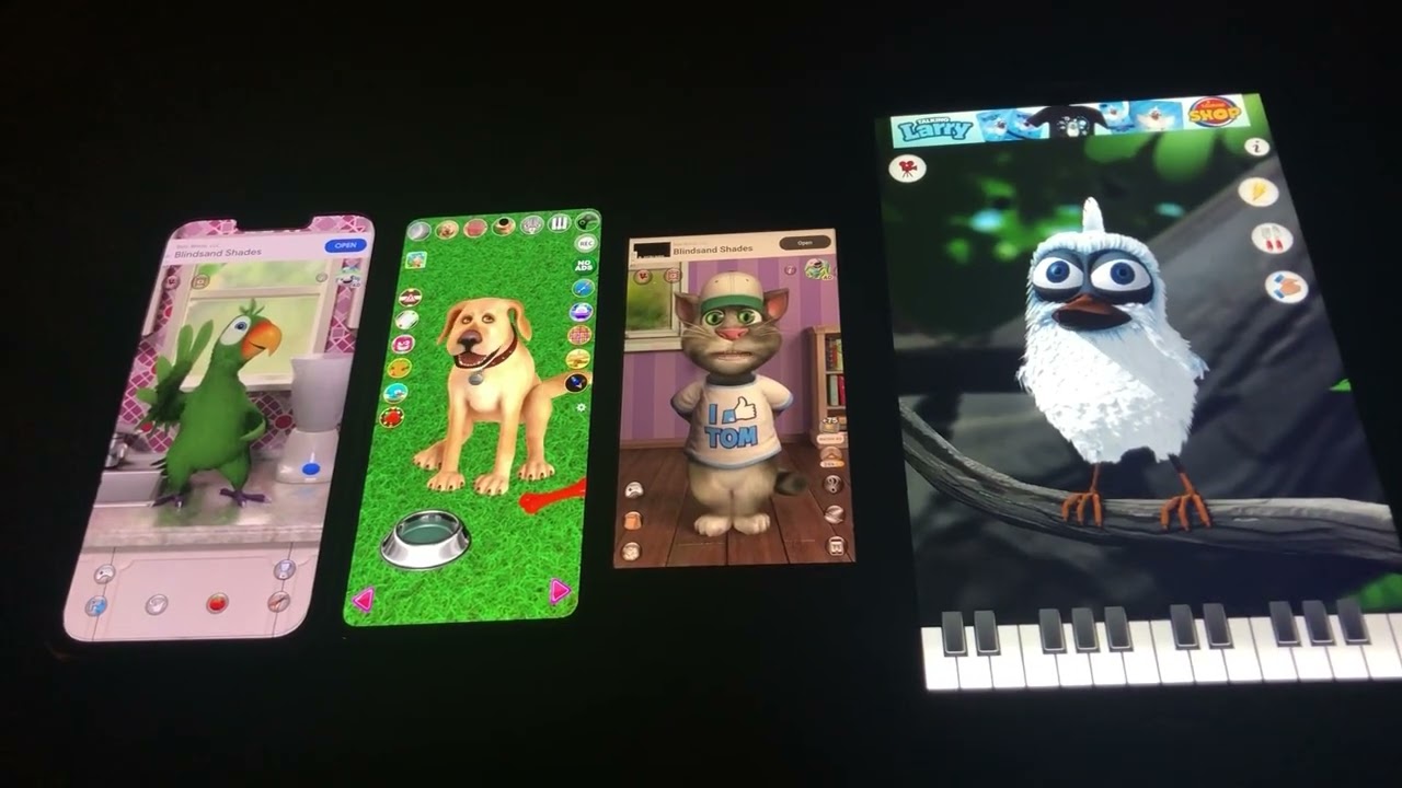 Talking Pierre Echo Vs Talking John Dog Echo Vs Talking Tom Cat 2 Echo Vs Talking Larry Echo (2/10)