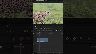 Celebrity Bet You Didn't Know This Keyframe Trick In Davinci! #davinciresolve Profile