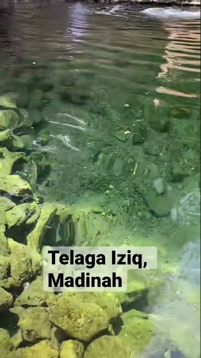 Jernihnya air di Telaga Iziq, Quba, Madinah. سبحان الله