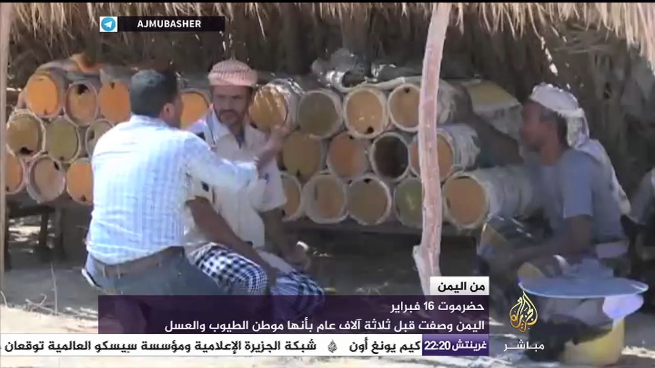 من اليمن .. أمهات المختطفين تناشد حقوق الإنسان