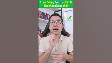 3 con đường đào thải độc tố hiệu quả nhất của cơ thể | Hà Giảm Cân