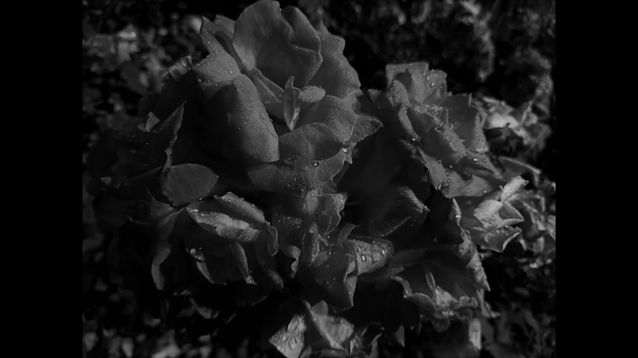 "De vous à elle en passant par moi" (D. Balavoine) ‐ Réalisée avec Clipchamp 76