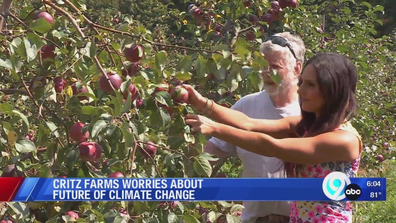 Critz Critz Farms worries about future of climate change - YouTube