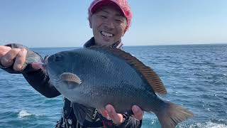 春の五島列島をフカセ釣りで攻略！【磯釣り】