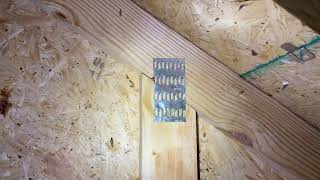 Mending Plate Truss Repair #home #homeinspection #structuralengineering #attic #roof #truss