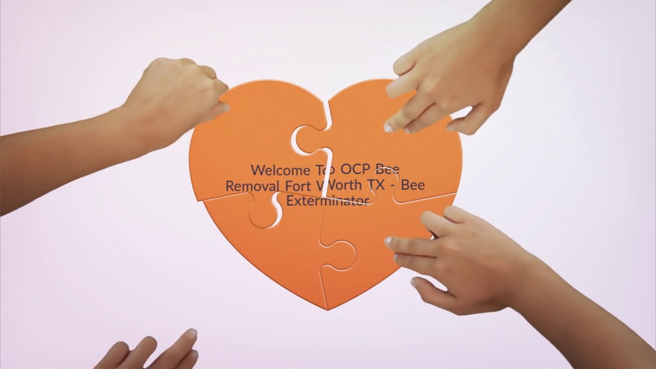 OCP Bee Exterminator in Fort Worth, TX