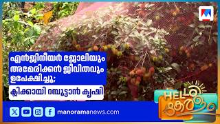സോഫ്റ്റ്‌വെയർ ജോലി ഉപേക്ഷിച്ച് റമ്പൂട്ടാൻ കൃഷിയിലൂടെ വിജയം | Farming screenshot 2