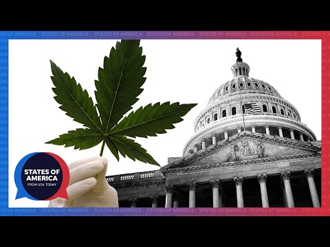 Drug ballot measures win big. Is the peaceful transfer of power endangered? | States of America