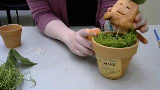 Collierville Burch Library: Mandrake Instructions