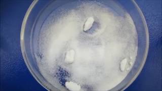 Preparation & Properties of Sodium sulphate (Glauber's salt)