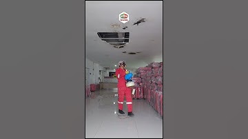 Pengendalian Hama Terbang Zero Pest Control Indonesia #pestcontrol #zeropestcontrolindonesia