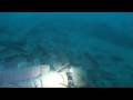 Wreck Diving - O Barco das Telhas