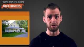 Mold Removal in Beaconsfield, Quebec