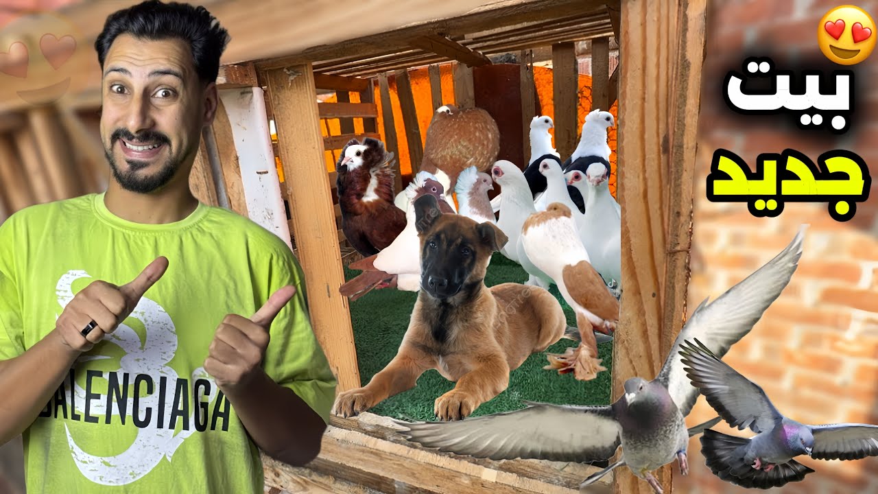 صنعت بيت جديد للحمام | تمساحه اخدت الجرعه الثانيه😍