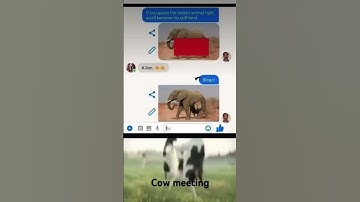 What #dj #remix #music #musician #party #animation #animation #idontknowwhattoputhere #musichumor #1