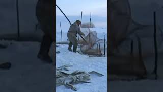 🐟 Какие снасти использовали коренные народы Крайнего севера для ловли рыбы