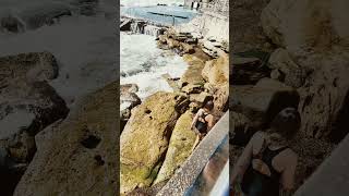 #bronte #beach #fyp #waves #subscribe
