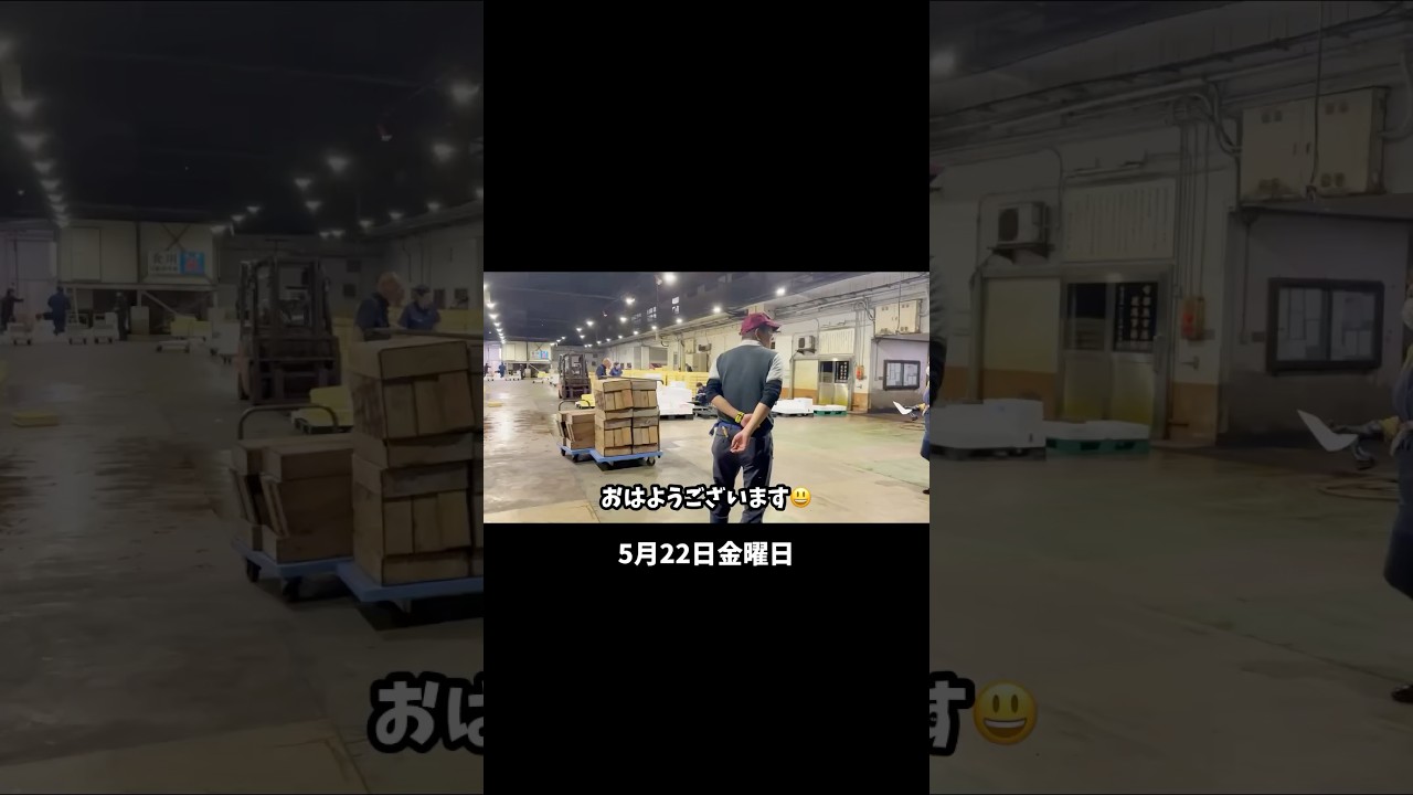 今朝の魚市場5月22日金曜日の水揚げ速報#shorts