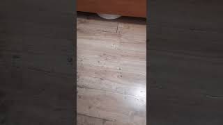 Робот-пылесос Xiaomi MJSTG1. HARD TEST.