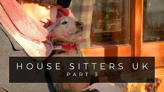 House Sitters UK / Campervan Travels / EP 3 - Duty Calls