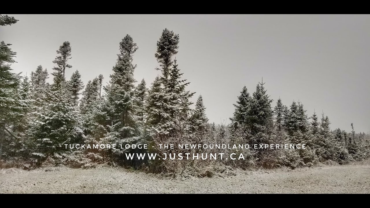 Семейные традиции и охотничье приключение в Саскачеване | That Hunting Girl