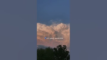 قرآن الكريم بصوت القارئ : هزاع البلوشي || أجمل حالات واتس اب دينيه || تلاوة خاشعة 🌿