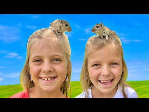 It Happened… We Finally Got Gerbils!
