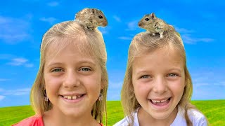 It Happened… We Finally Got Gerbils!